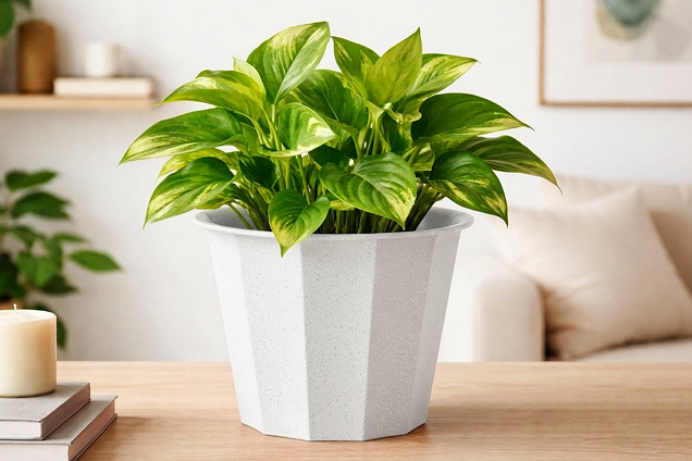 The Facet Plastic Pot: White